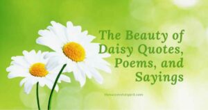 Daisy Captions and Quotes