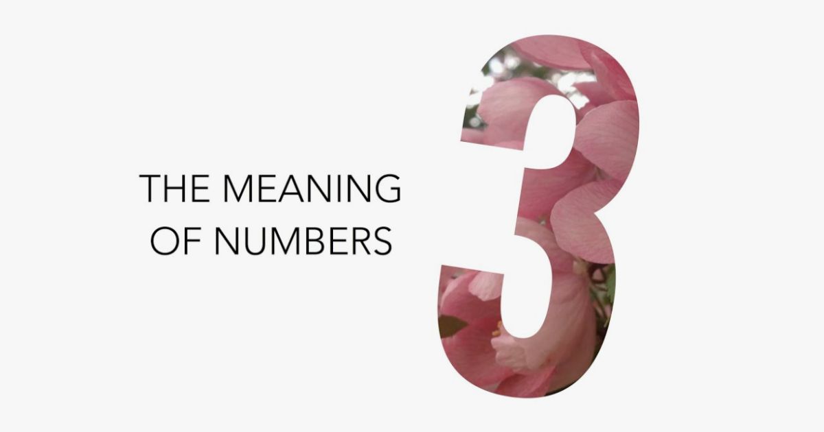 Meaning of the Number