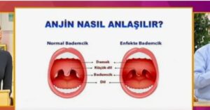 Anjin Meaning