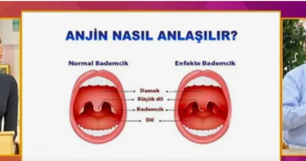 Anjin Meaning